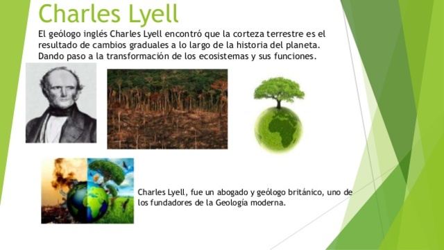 Transformación de los ecosistemas y sus funciones