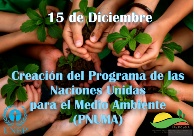 Conferencia de la ONU