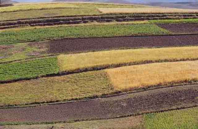 Lyttleton y Buckman "Edafología"