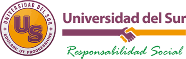 Universidad del Sur