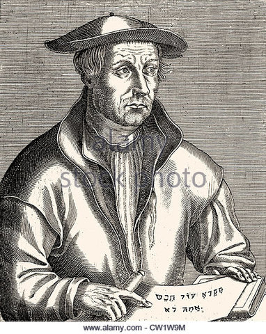 LOS APORTES DE SEBASTIAN MUSTER