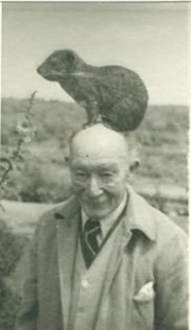 BP se retira a Kenya, África.