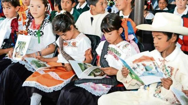 Educación Indígena