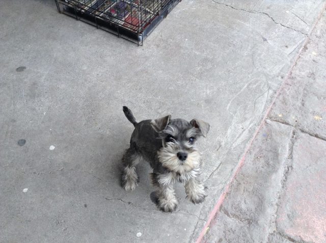 My story of my life...Ruzvy Baron