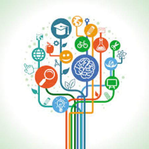 OModificación del Curso de Pedagogía