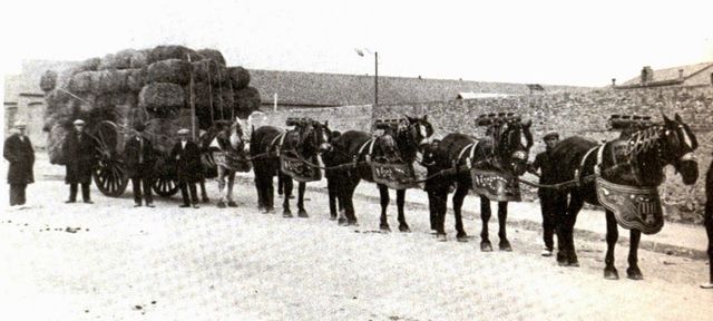 Transporte de Tiro 3000 a.C