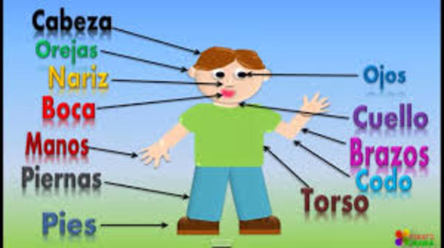 Beeruezo y Garcia(1999)