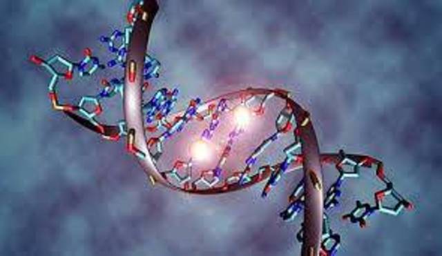 Descodificación del ADN (científico).