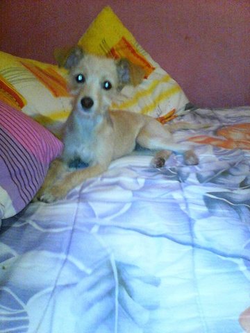 llego la mejor amiga *estrella*