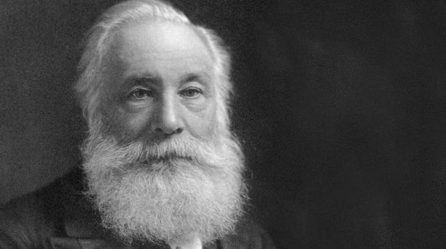 Primer sintetizante colorante orgánico