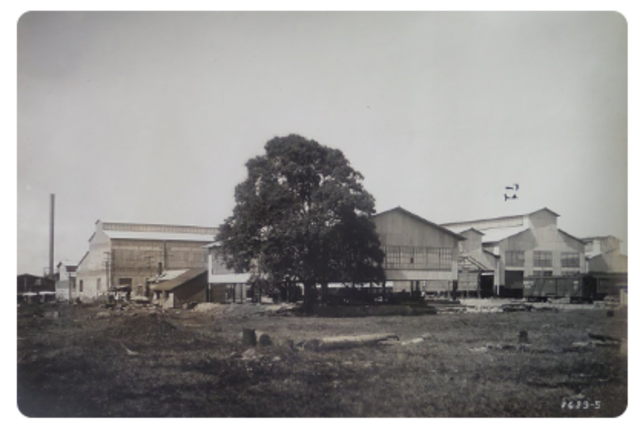 Trabajos Archivisticos