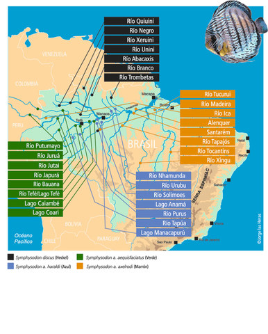 distribucion de pez Disco