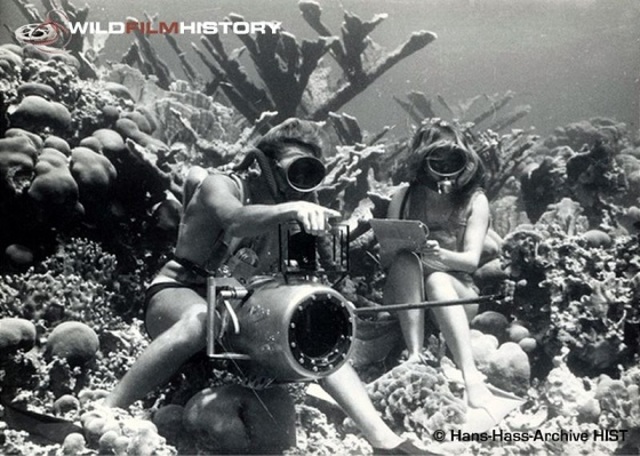 As imagens ganham vida nas mão de Hans Hass