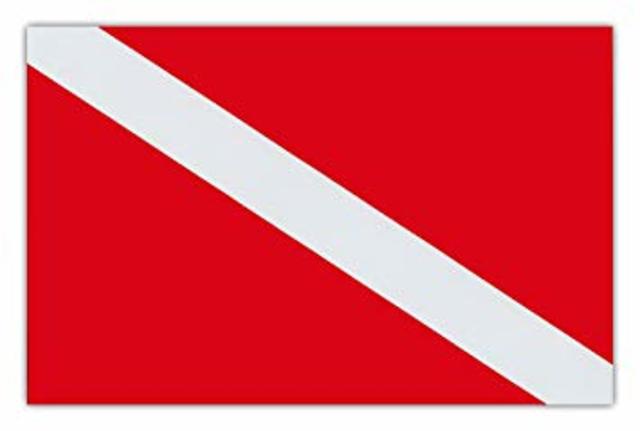 A bandeira mundialmente conhecida