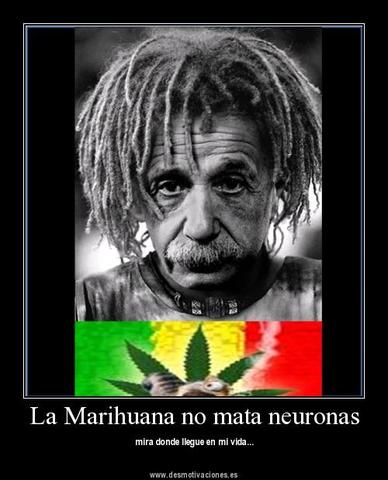 el famoso einstein dijo