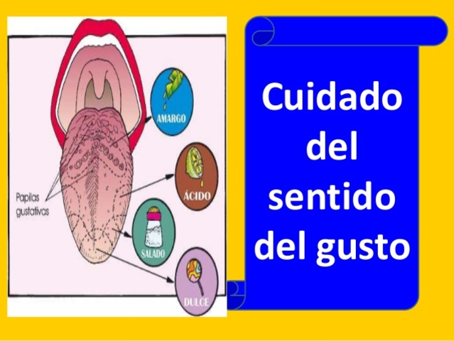 Cuidados del sentido del gusto