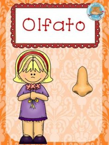 Sentido del olfato
