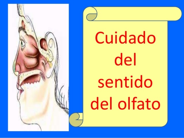 Cuidados del sentido del olfato