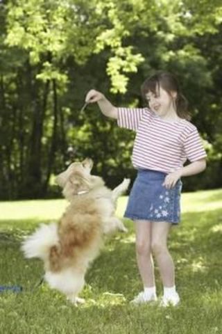 3 Momento Importante