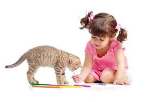 7 momento importante