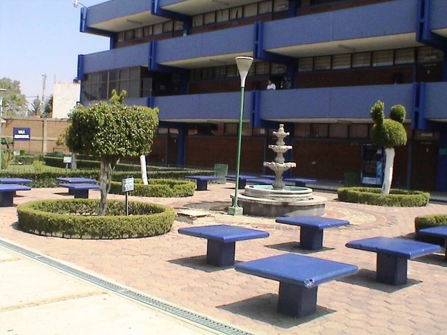 Contaduría Pública