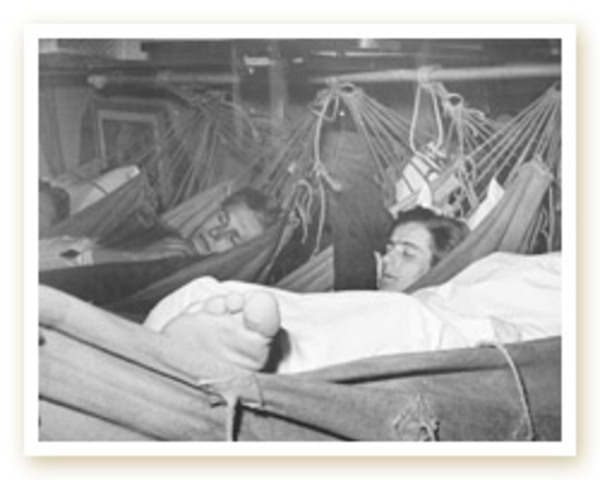 las hamacas  en  los  viajes  para  mar
