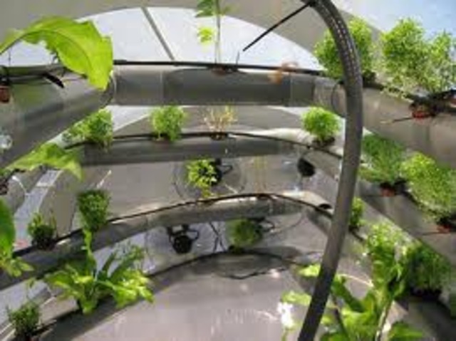 ELBA GARCÍA CALDERÍN