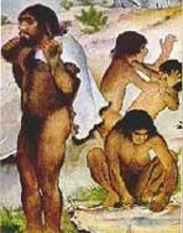 Homo neanderthalensis