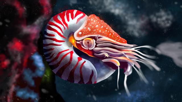 "The Chambered Nautilus"