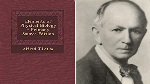 CREACIÓN DE CONCEPTO