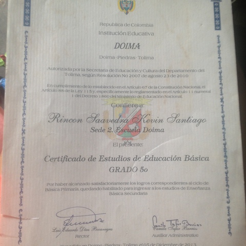 MI DIPLOMA