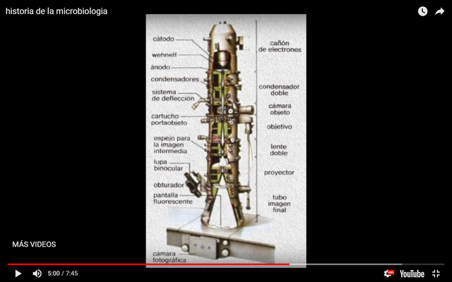 microscopio electronico