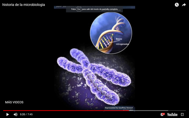 estructura de doble elice