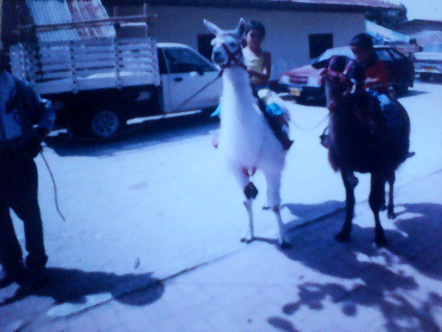 de paseo el la ciudad musical de Colombia