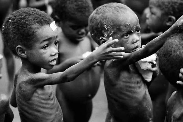 Alimentación y nutrición