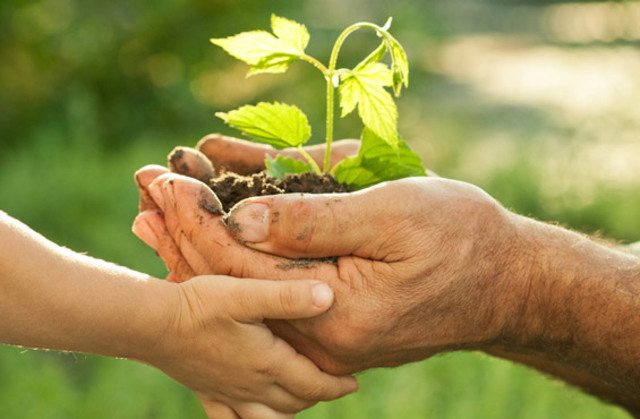 Creación de entornos propicios