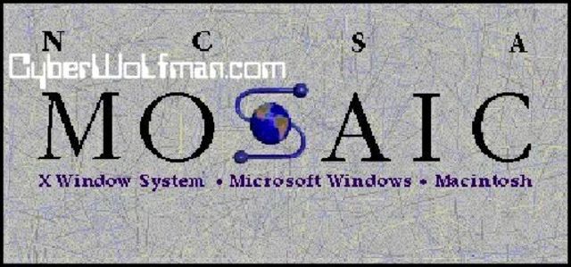 The first internet browser