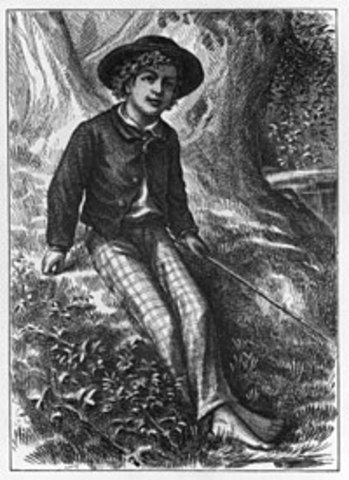 "The Adventures of Tom Sawyer" by Mark Twain