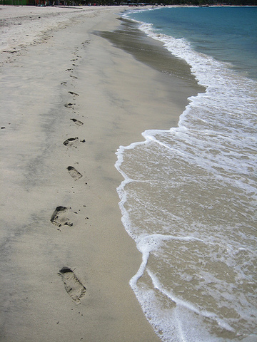 “The Tide Rises, The Tide Falls” by: Henry Wadsworth Longfellow