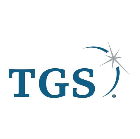 SURGIMIENTO DE LA TGS