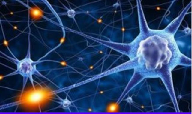 La primera agrupación neuronal