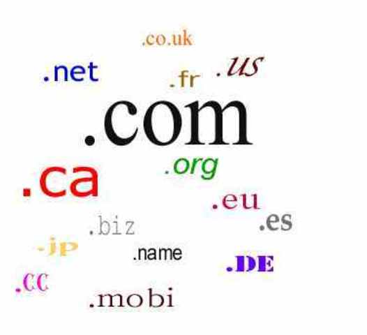The delopment of domain names.