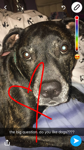 Drawing Tools in Snapchat