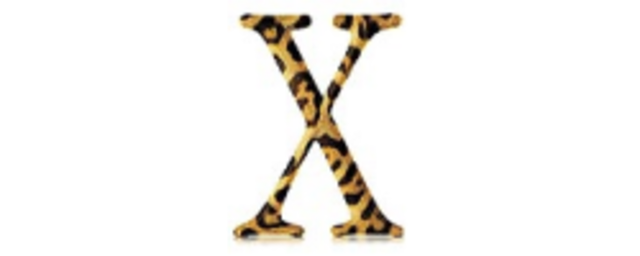 Mac OS X 10.2, Jaguar