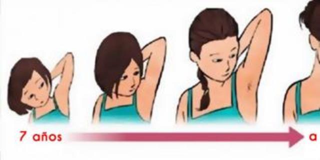 Quinta Etapa De La Vida