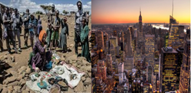 GRUPO DE TRABAJO DE LA OMS