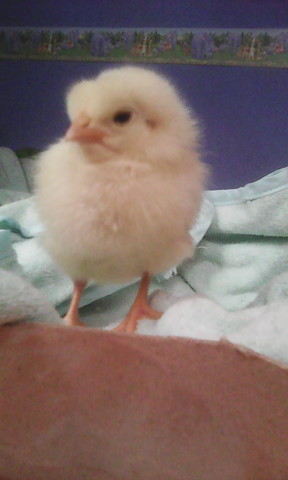 primero años de vida