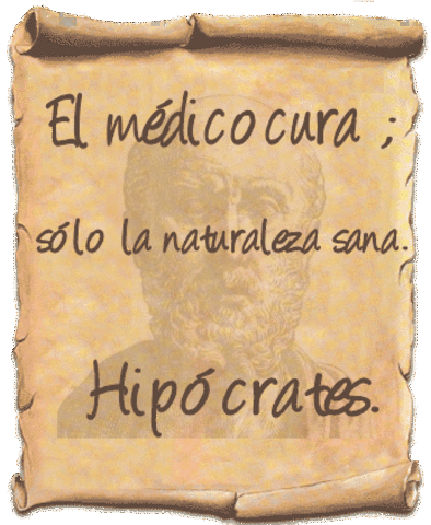 Hipocrates (460 - 377 a.C)