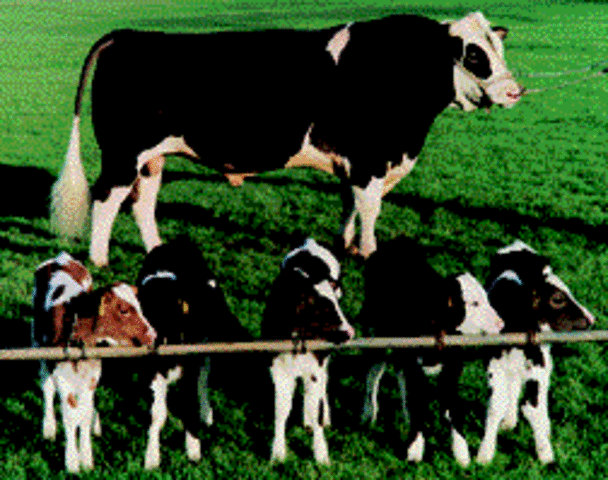 Manipulación biotecnológica