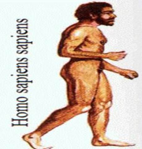 5. Surgimiento de los homínidos: Homo sapiens sapiens